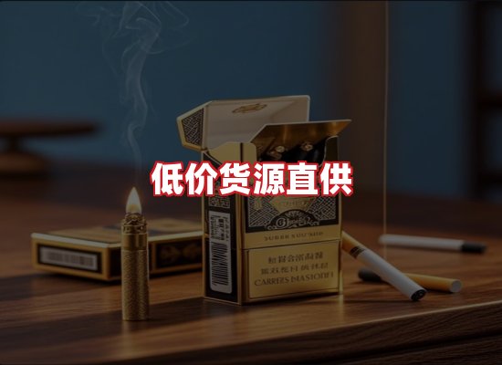 专业团队